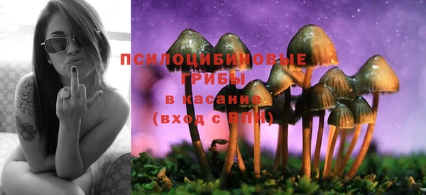 хмурый Абдулино